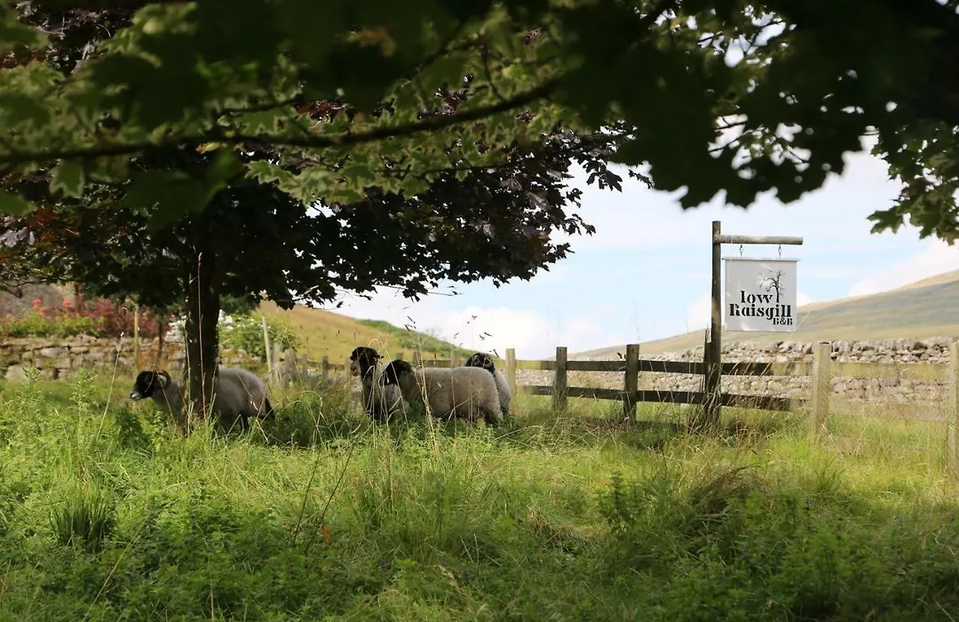 Low Raisgill B&B-1