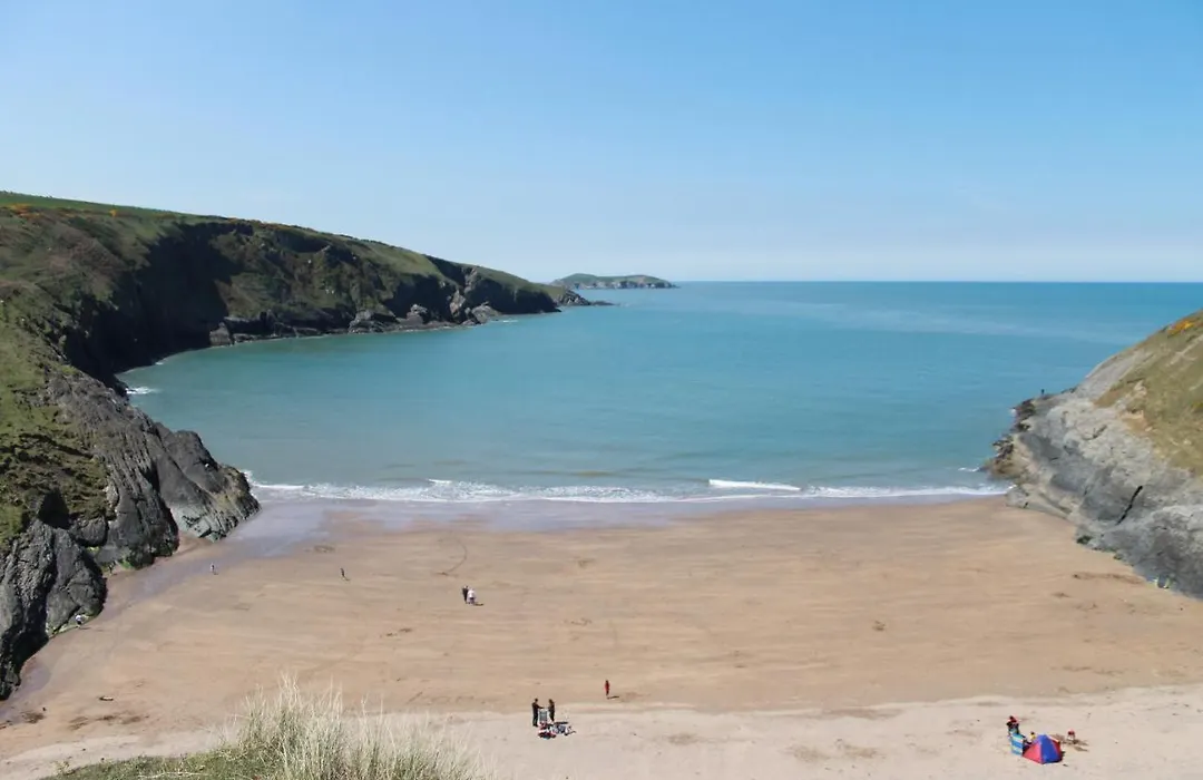 Llety Teifi Guesthouse-1