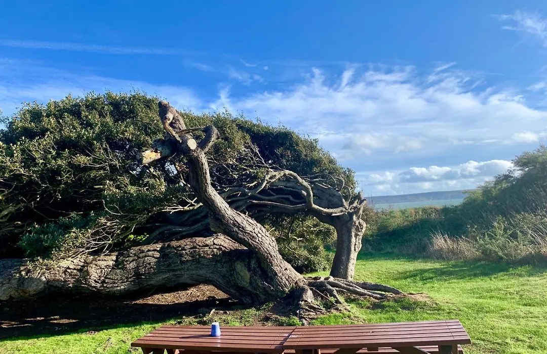 Shorefield Country Park, Where The New Forest Meets The Sea, Passes For All Entertainment Included-1