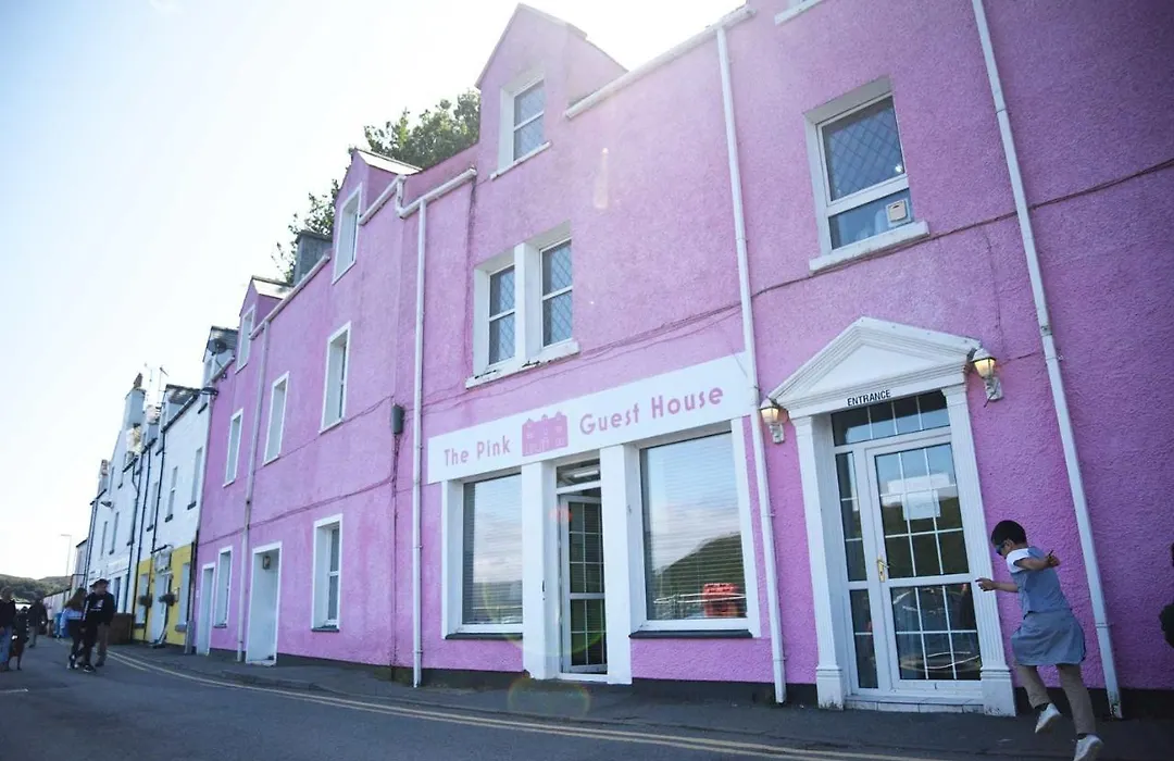 The Pink House-1