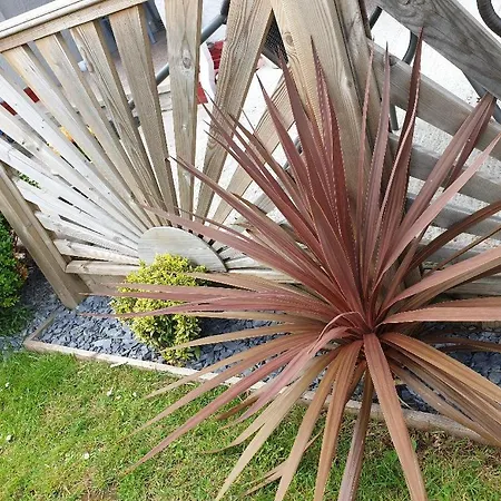 Sefton Lodge Seafront ,Panoramic Sea View Ensuite Balcony Rooms Available, Guest Garden-2