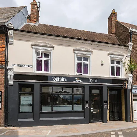 White Hart-3