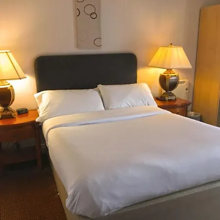 Oyo White Horse Hotel-3