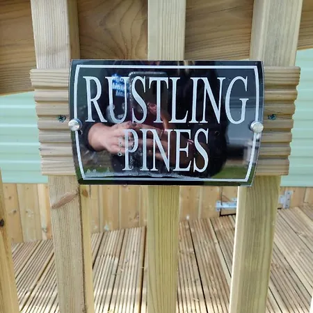Rustling Pines At Knaresborough Lido-2