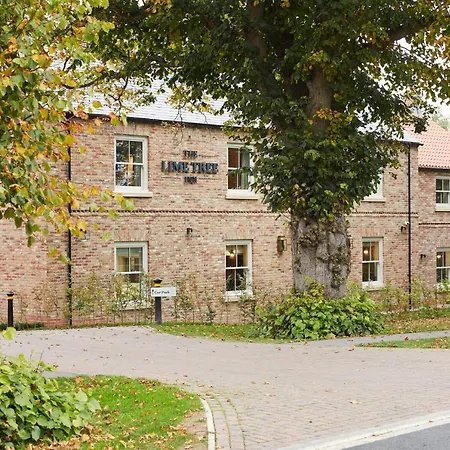 The Lime Tree Inn-2