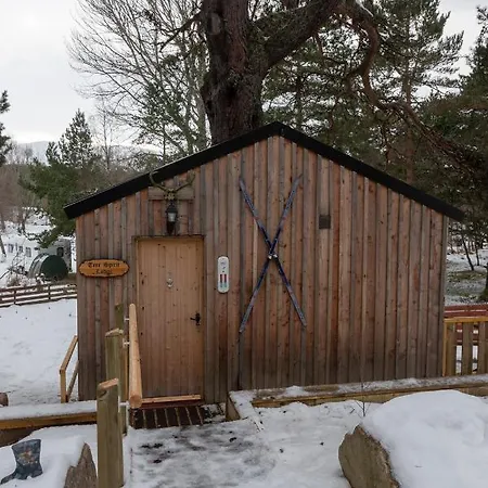 Pine Marten Bar Glenmore Treehouse-2