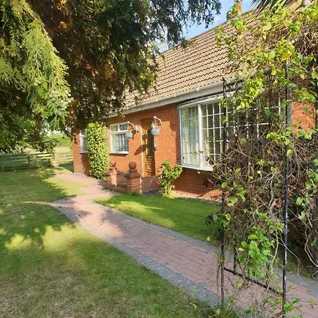 York Rose B&B-2