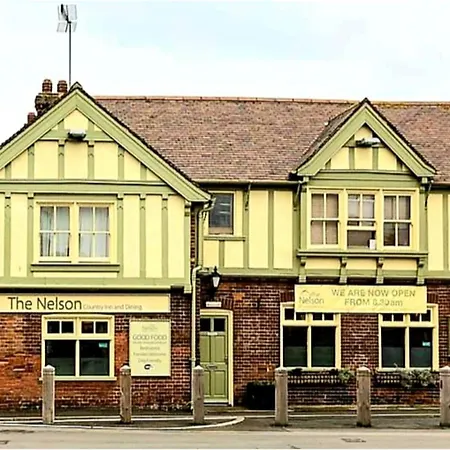 The Nelson-2
