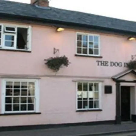 The Dog Inn-2