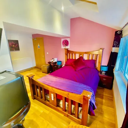 Dreamhaven-2