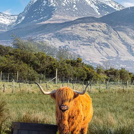 Ben Nevis Manor-3