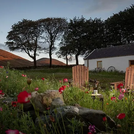 Thistle Thatch Cottage And Hot Tub - Mourne Mountains-2