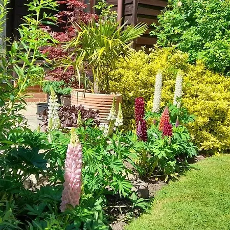 Cowpasture Barn B&B-2
