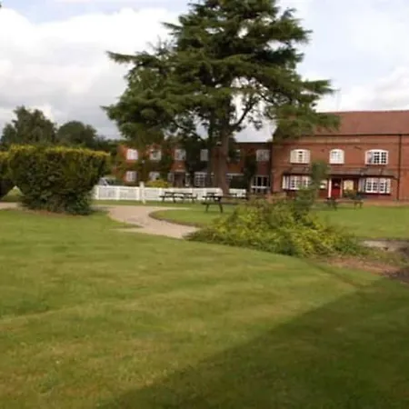 Oyo Beechwood Hotel-3