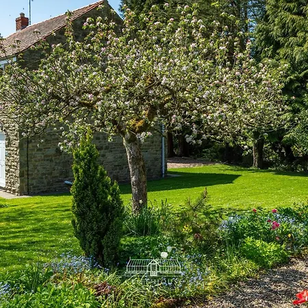 Cliff House Holiday Cottages-2