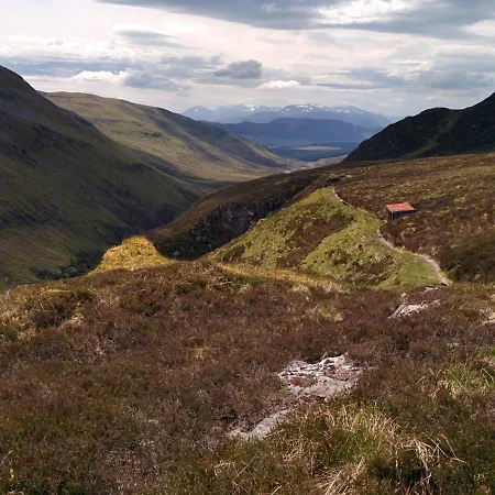 Wee Wilds-3