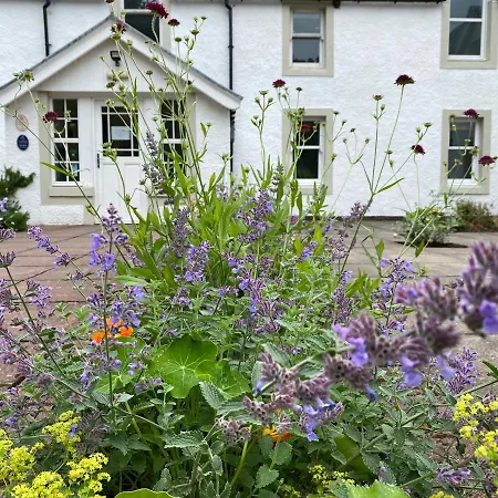 Hartfield House Hostel-2