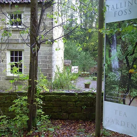Thorpe Green House Vegetarian Bed & Breakfast-3