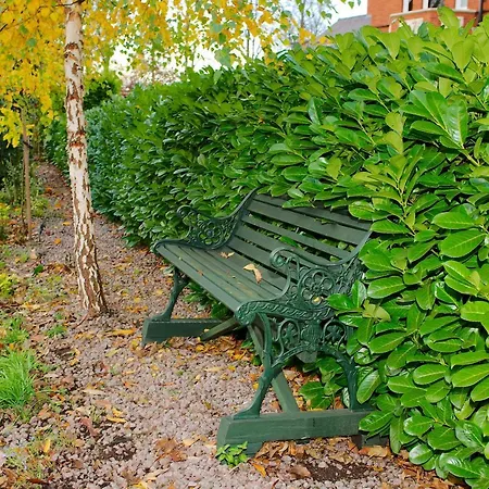 Little Redlands B&B-2