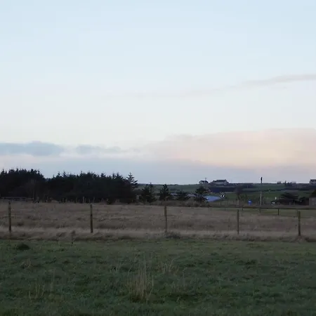 The Windy Roost-3