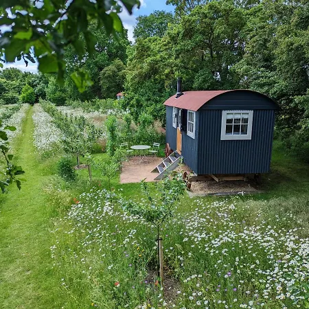 Wellbeing Orchard-2