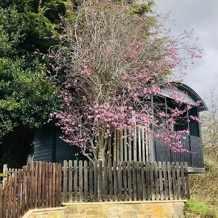 Cherry Tree Gypsy Wagon Sibford Gower-3