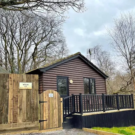 Wren 23-Hot Tub-Woodland Lodges-Tenby-Pembroke-3