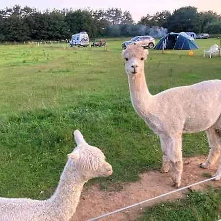 Two Jays Farm-3