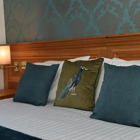 Greyhound Hotel-2