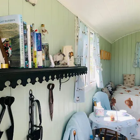 Bells Meadow Shepherds Hut-2