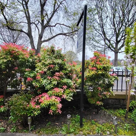 Mackenzie Guest House-3