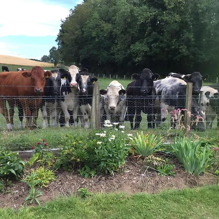 Retreat At The Knowe Auchincruive Estate-3