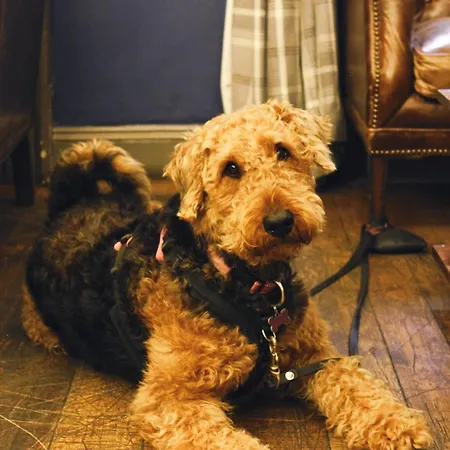 The Kings Arms-3