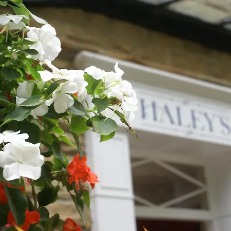 Haley'S Hotel-3