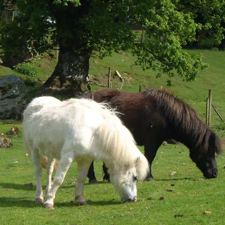 Ardgarry Farm-2