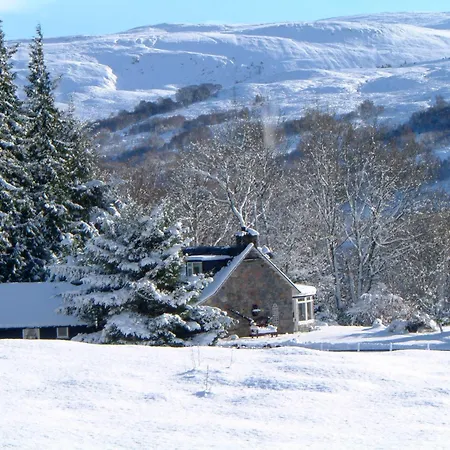 Ardgarry Farm-3