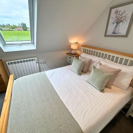 New Forest Lodge-2