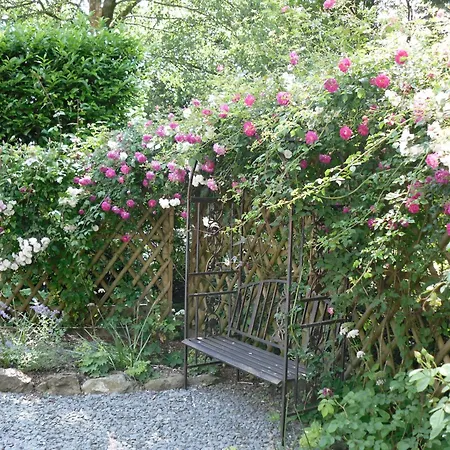 Storrs Gate House B & B No Pets Allowed-3