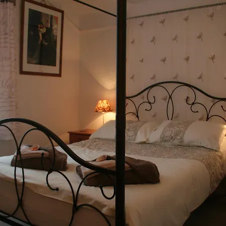 The Haldon Guest House-2