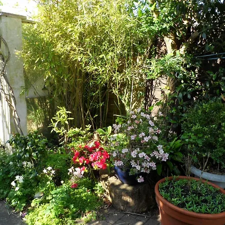 Galway Guest House-3