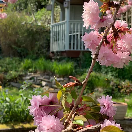 Ellen House Bed And Breakfast-3