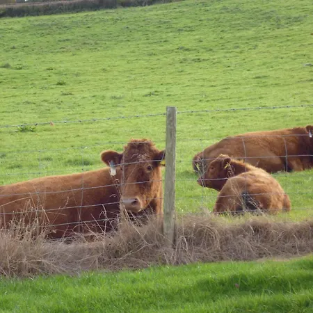 Whidlecombe Farm-2