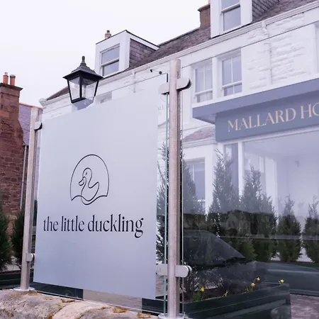The Mallard Hotel-3