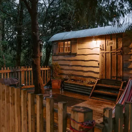 Llethrau Forest & Nature Retreats-3
