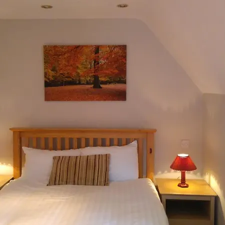 The Shoe Inn Rooms-3