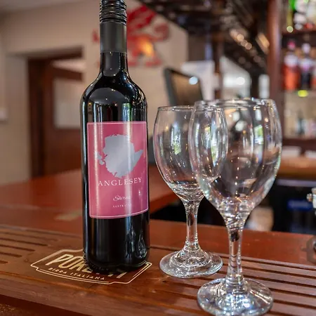 Nant Yr Odyn Country Hotel & Restaurant Ltd-3