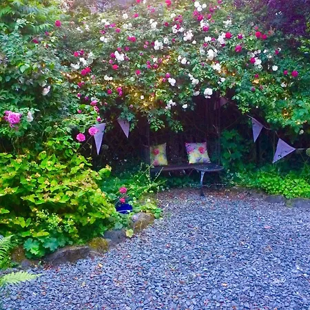 Storrs Gate House B & B No Pets Allowed-2