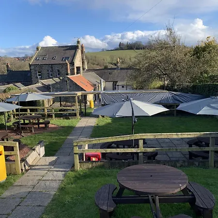 Turks Head Rothbury-3