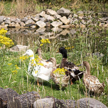Home Farm & Lodge-3