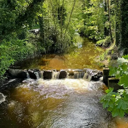 Basil Sheils B&B Accommodation Armagh-3